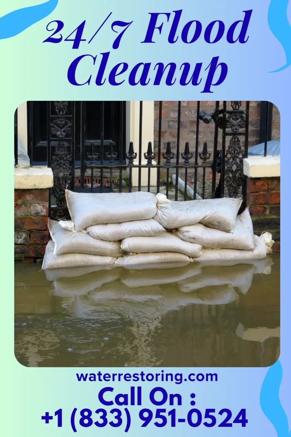24/7 Flood Cleanup in Vermillion, MN