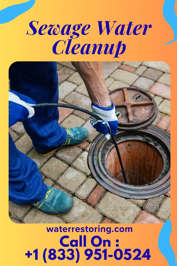 Sewage Water Cleanup in Vermillion, MN
