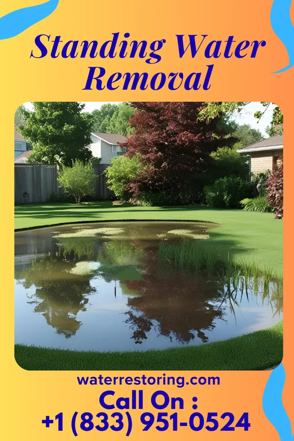 Standing Water Removal in Vermillion, MN